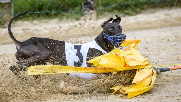 Tolle Fotos von unserem Jubiläumsrennen!